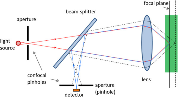 Dependence of two- and three-dimensional optical transfer functions on pinhole radius in a coherent confocal microscope